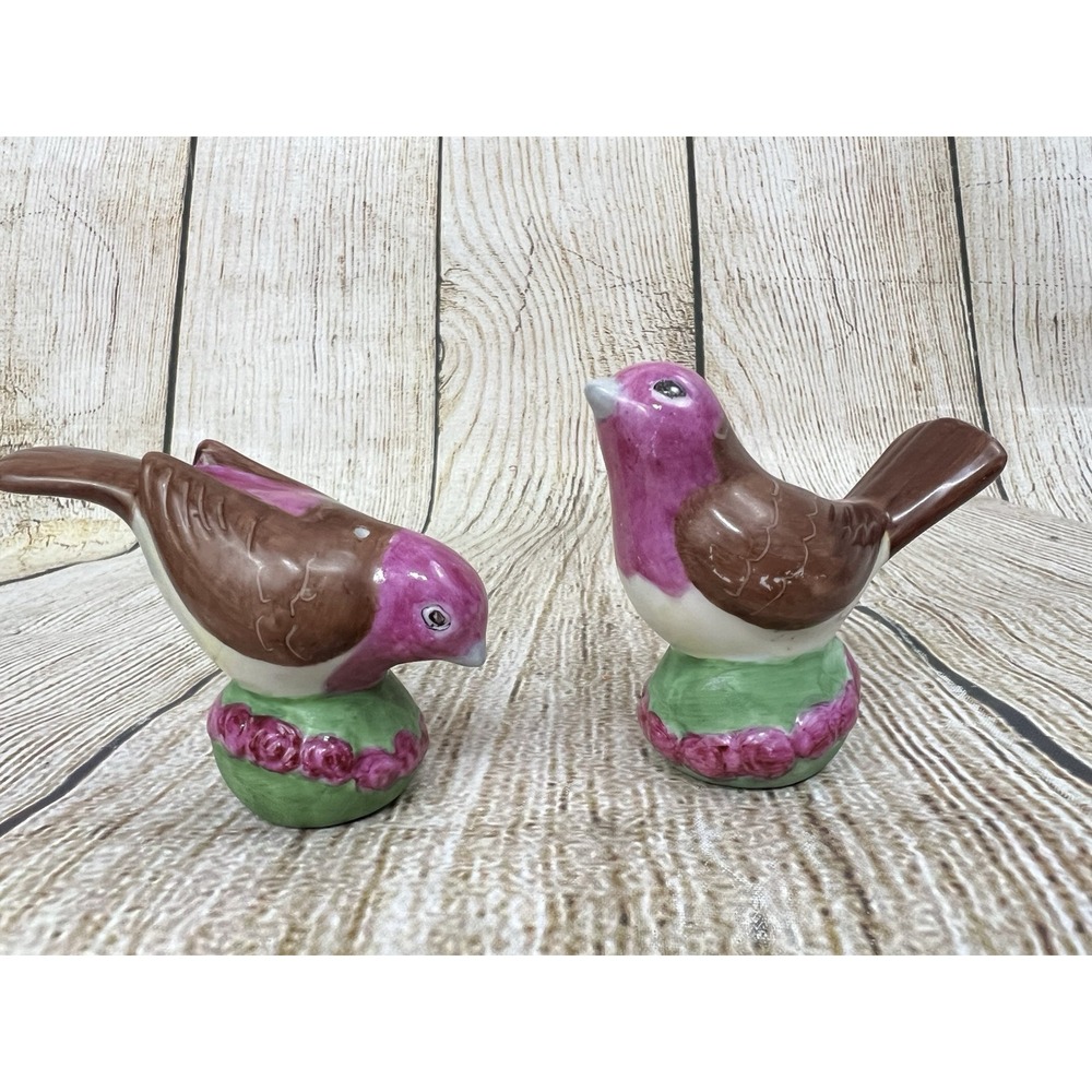 Vtg Hand Painted Studio Art Ceramic Salt & Pepper Shaker Birds Signed Cottage